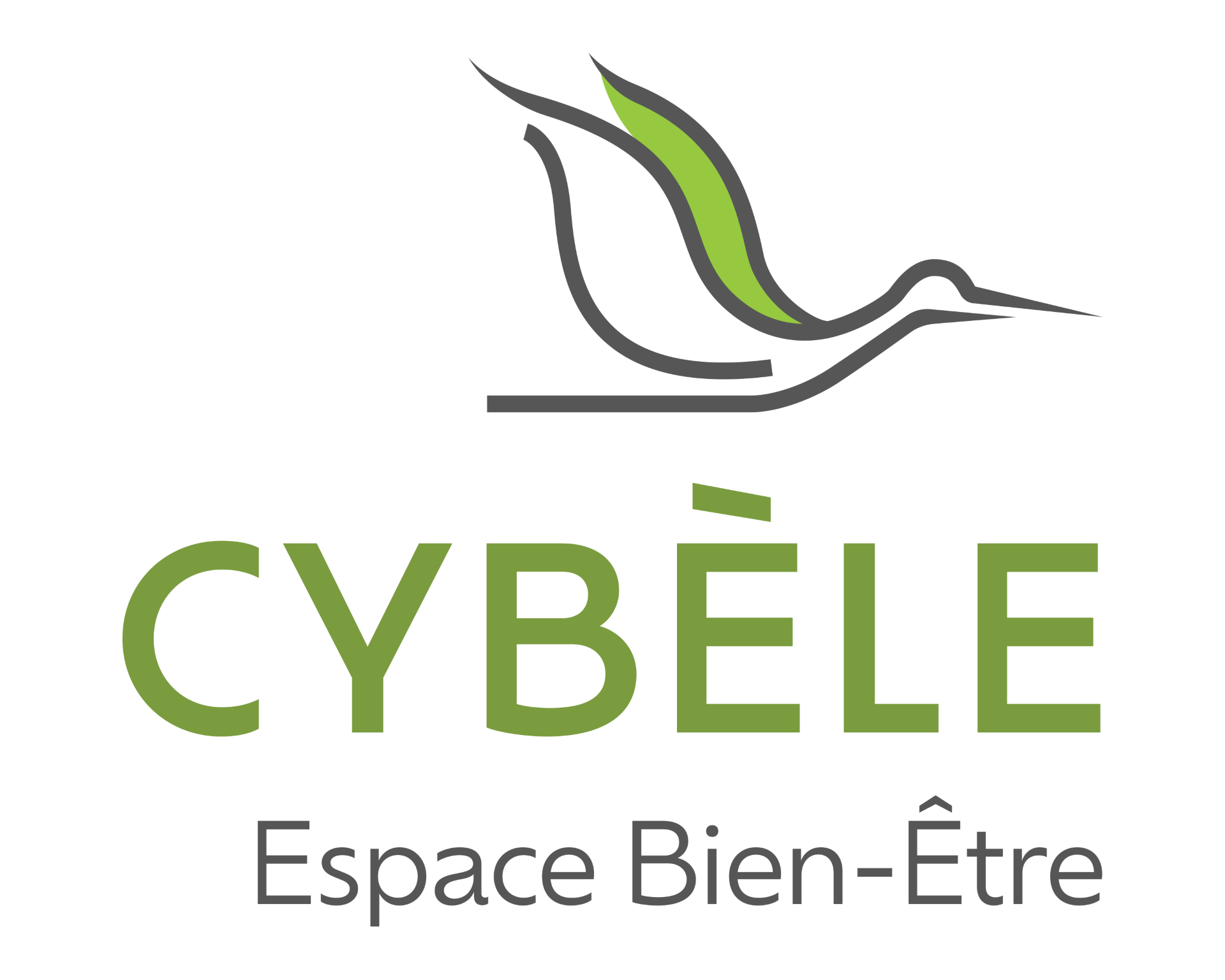  Logo de l'école Cybèle Espace Bien-Être